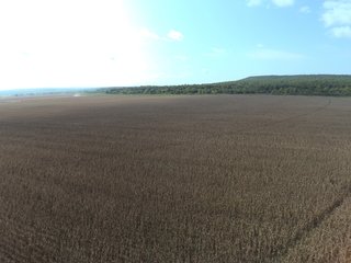 Property photo 37 - REAL ESTATE AUCTION - 1,000+/- ACRES OFFERED IN 10 TRACTS IN PITTSBURG CO., OKLAHOMA